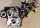 Yanmar 3TNE74 Motor Räderkassette mit PTO