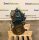 Kubota D1105 Motor