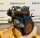 Kubota D600 Motor