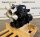 Yanmar 3TNE68 Motor